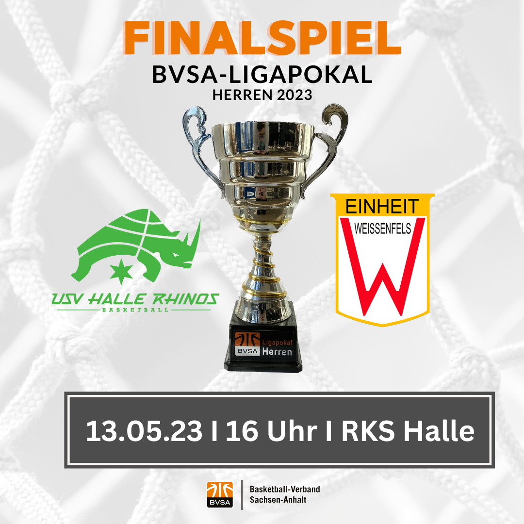 Finale um den Liga-Pokal // Grafik: BVSA