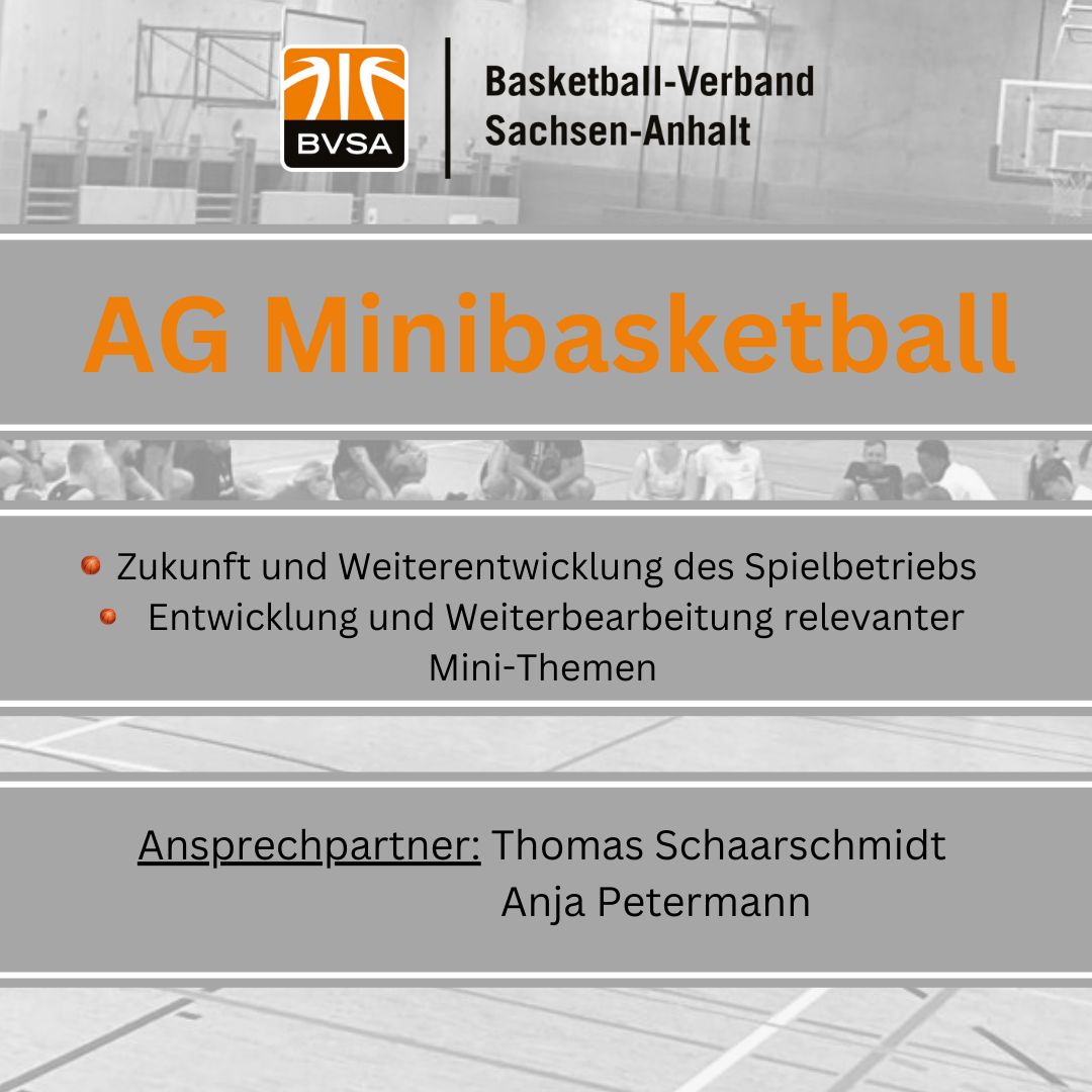 Arbeitsgruppen im BVSA Mini Basketball
